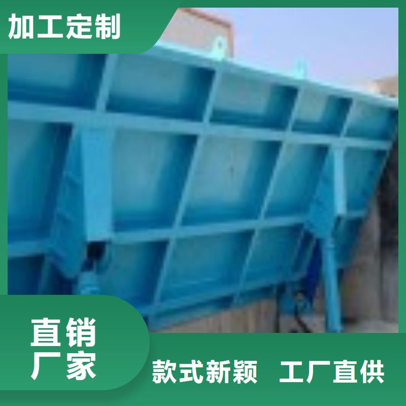 翻板闸门-回转式清污机源头厂家
