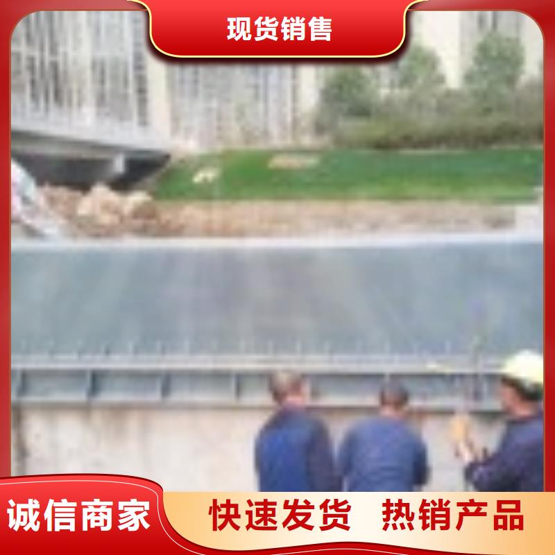 翻板闸门好货有保障