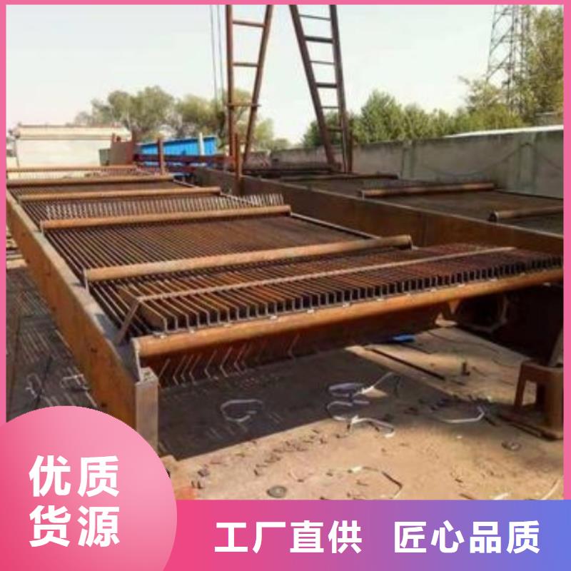 清污机-钢制拍门规格齐全实力厂家