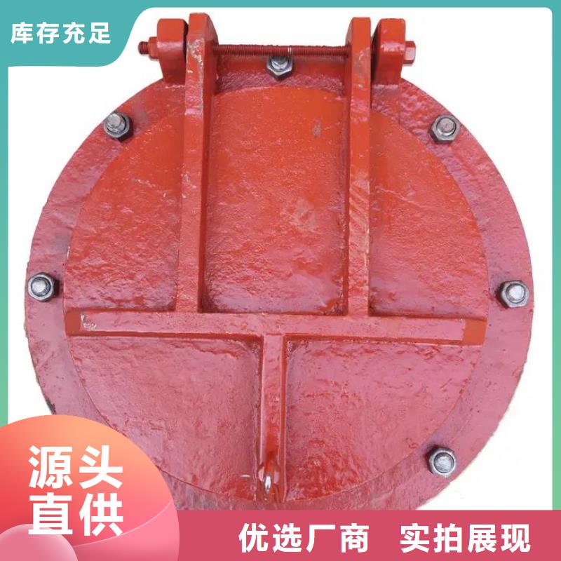  拍门工厂现货供应