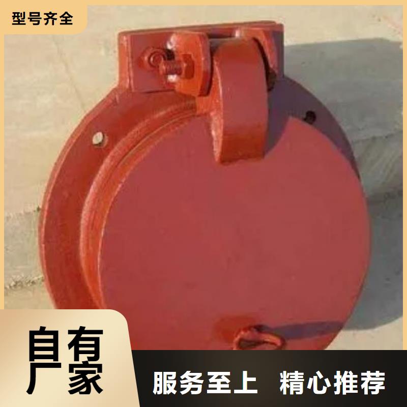 【拍门-平板钢闸门定制零售批发】