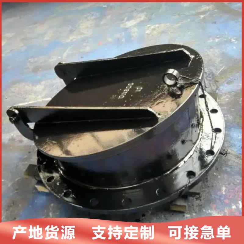 【拍门_球墨铸铁闸门厂家精工制作】