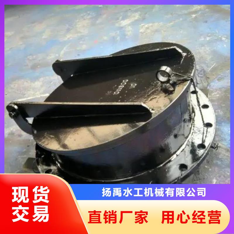 【拍门钢制拍门实力见证】