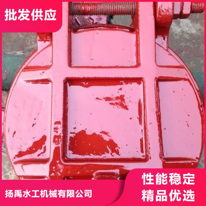 拍门支持定制加工