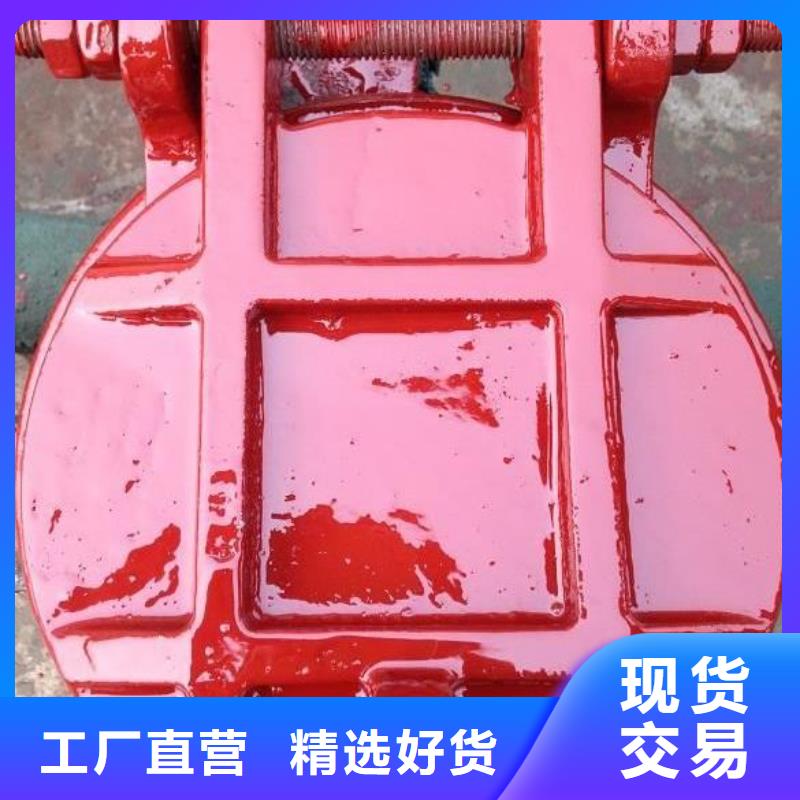  拍门N年大品牌