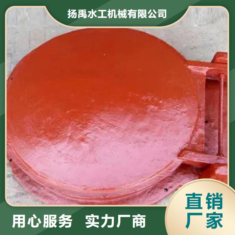 拍门铸铁闸门闪电发货