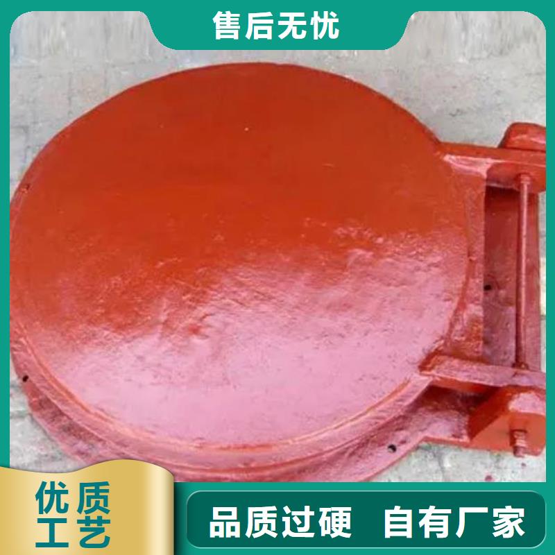 拍门-电动装置启闭机大厂家实力看得见