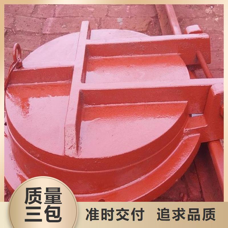 拍门-卷扬启闭机质保一年