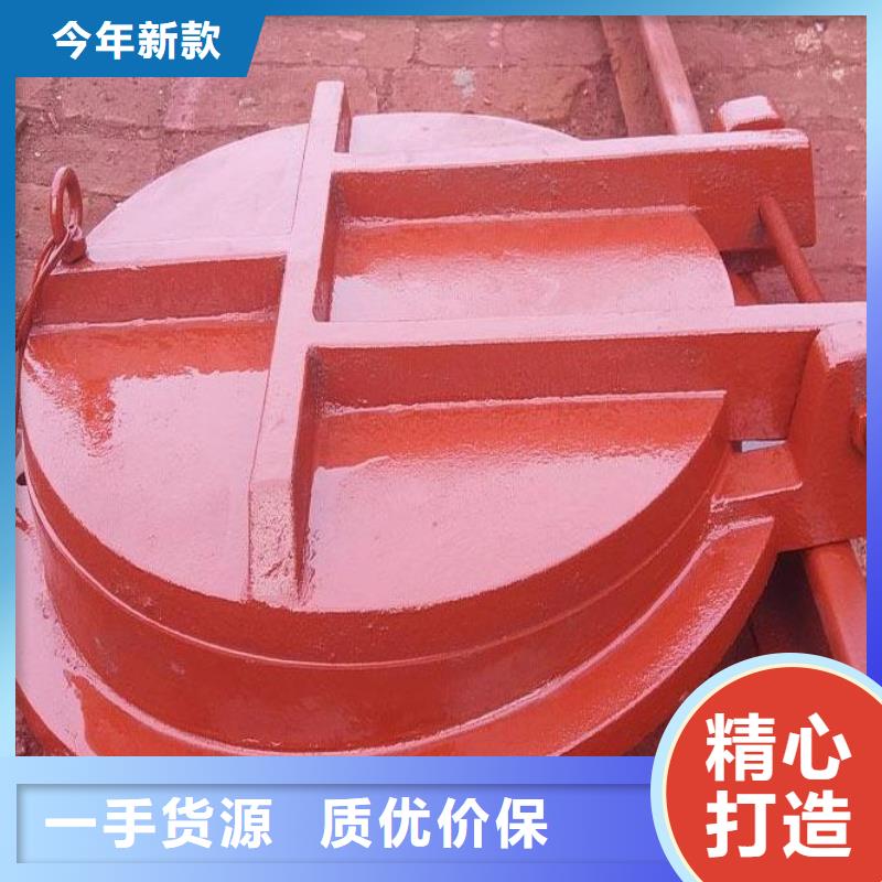 【拍门_铸铁闸门多年实力厂家】