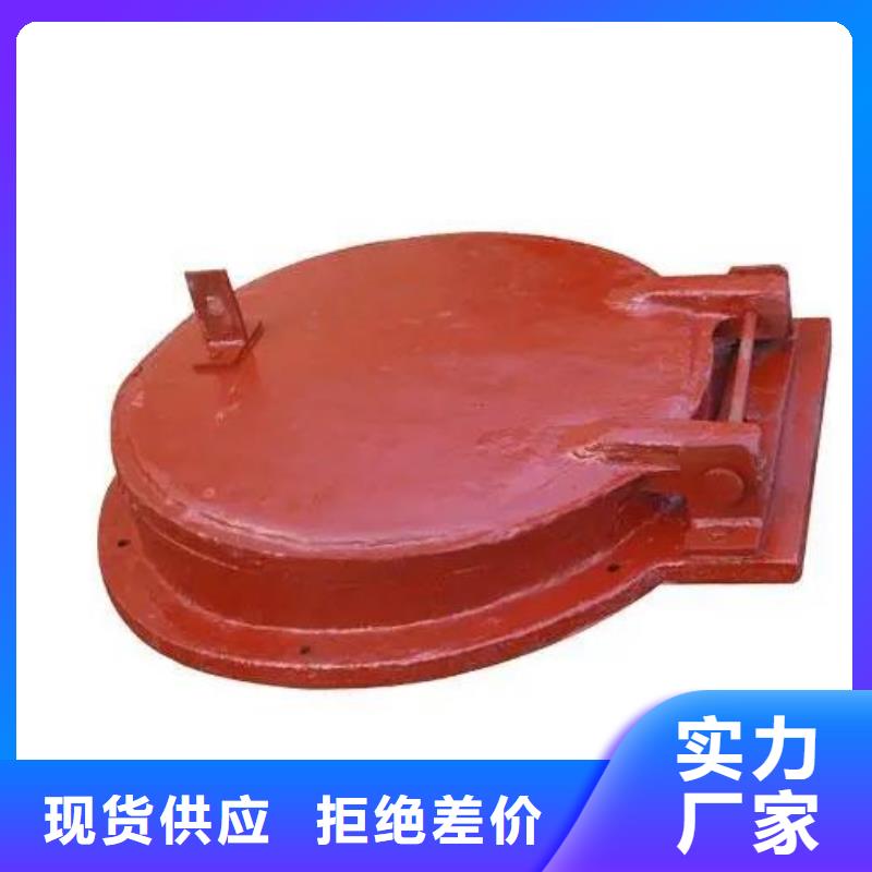 【拍门_铸铁闸门多年实力厂家】