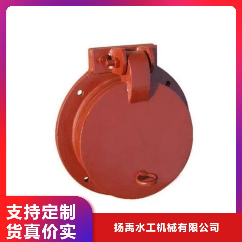 拍门钢制拍门厂家注重细节