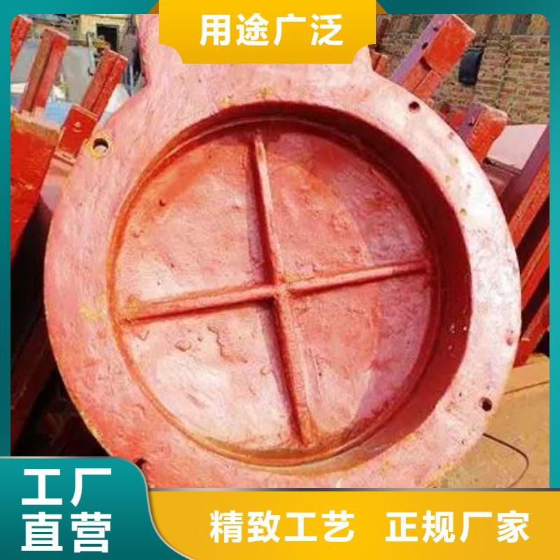 拍门-卷扬启闭机质保一年