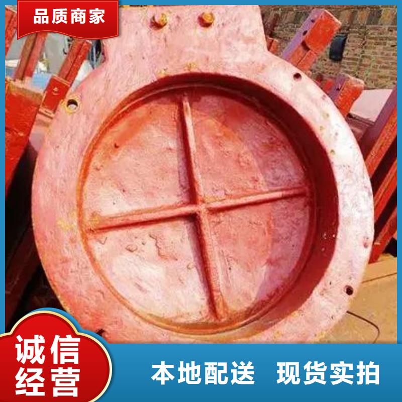 拍门品种全