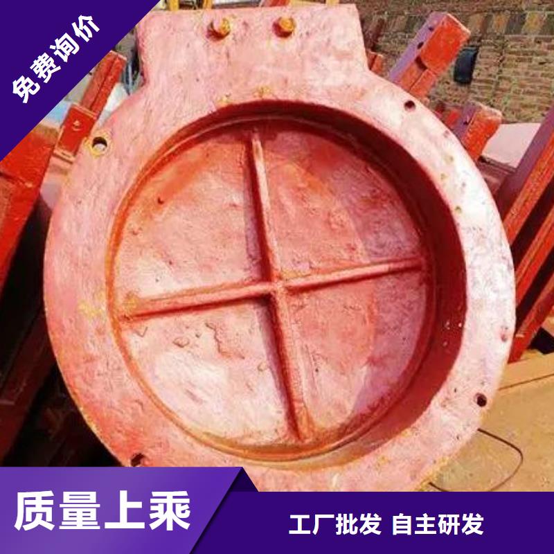 【拍门钢制拍门实力见证】