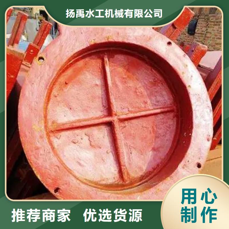 拍门_【钢制闸门】出厂价