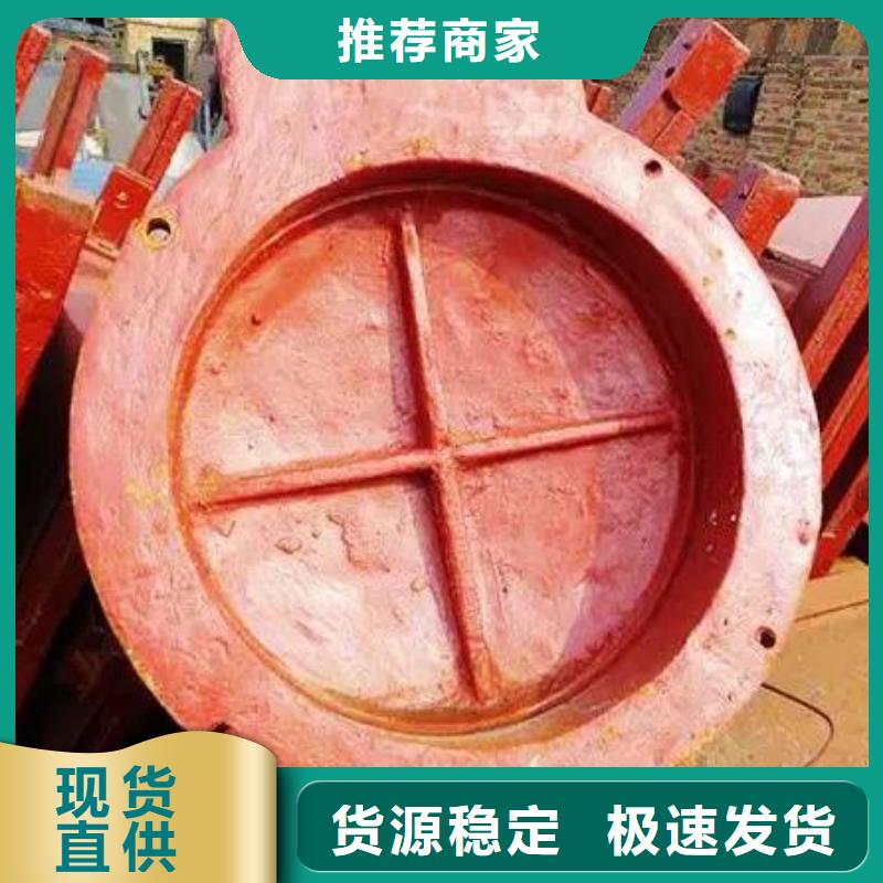 拍门_球墨铸铁闸门多年行业经验