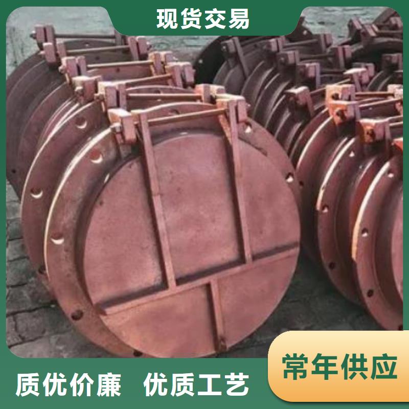 【拍门】 钢坝闸门今日新品
