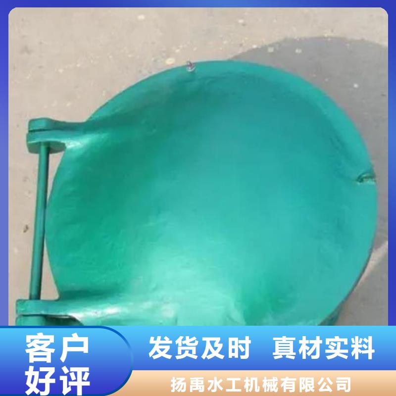 【拍门钢制拍门实力见证】