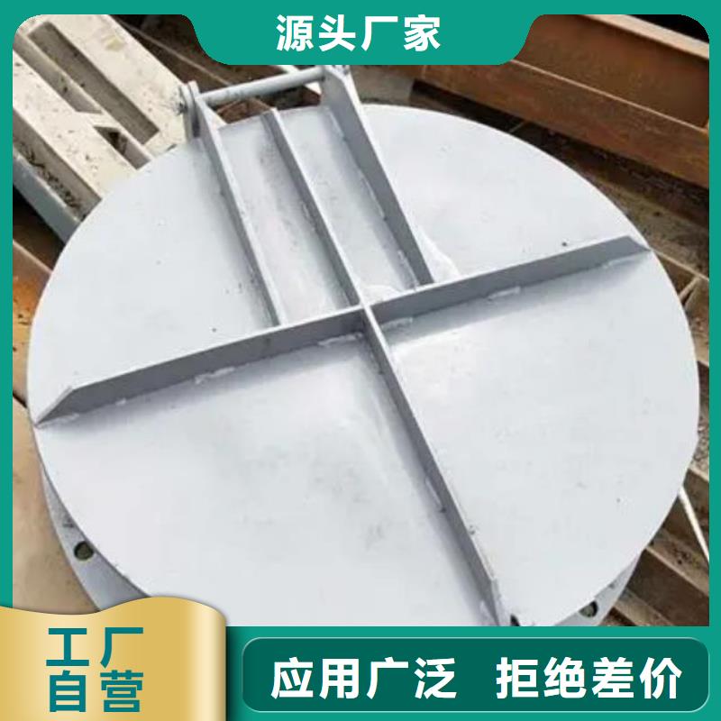 【拍门铸铁闸门贴心服务】