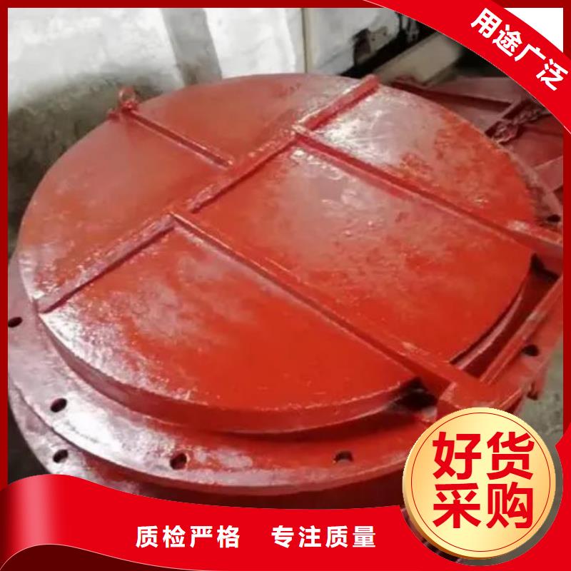 拍门-电动装置启闭机大厂家实力看得见