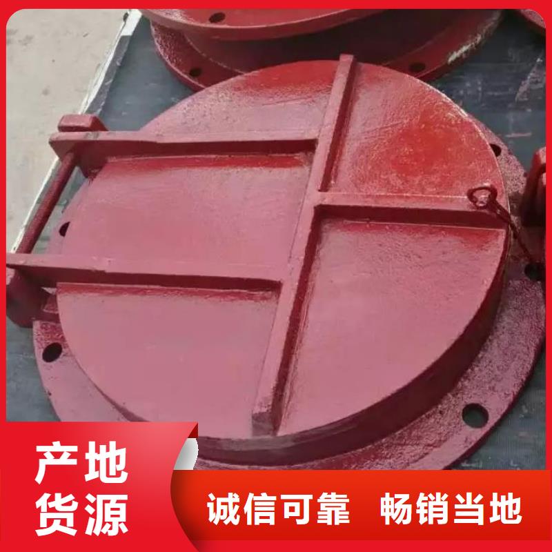 拍门_球墨铸铁闸门多年行业经验