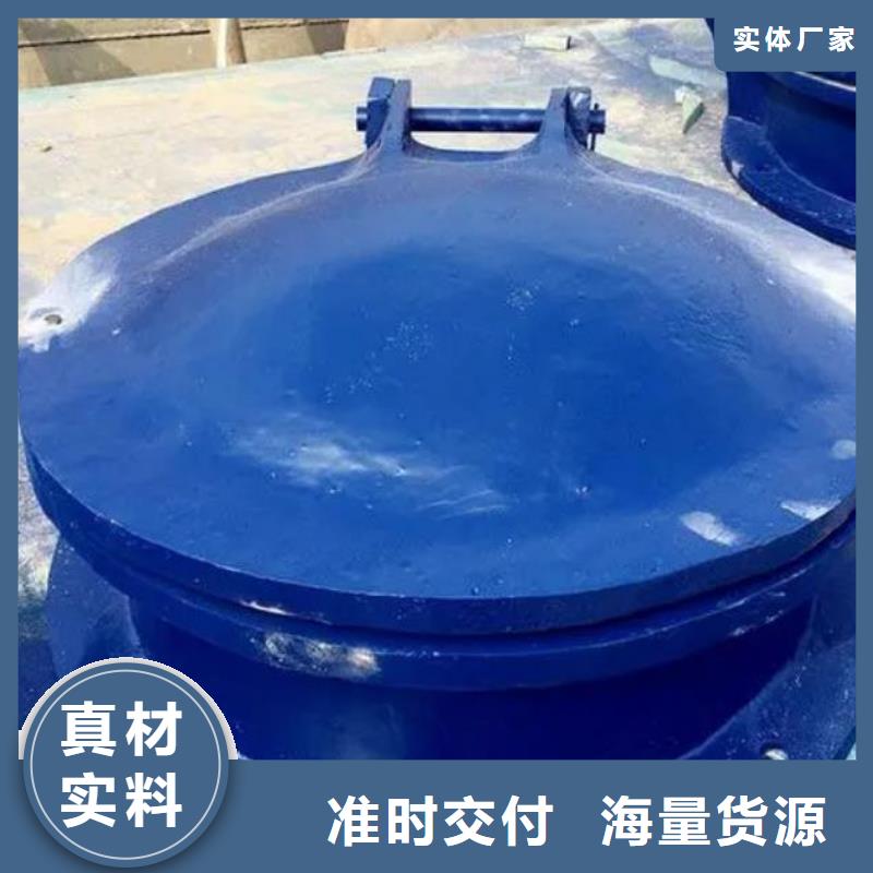 【拍门_铸铁闸门多年实力厂家】