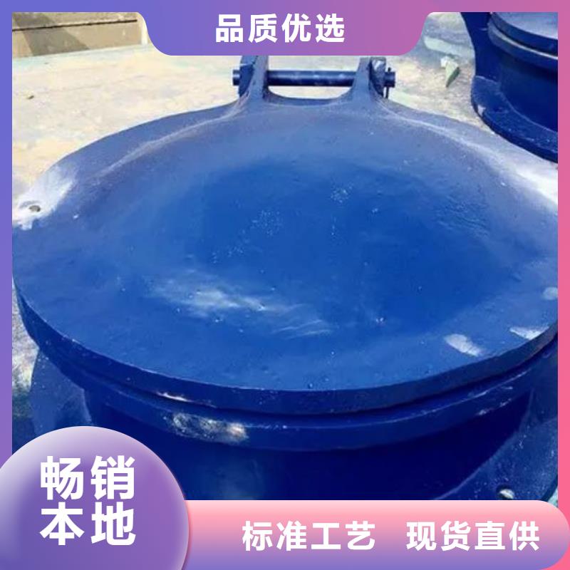 拍门 扇形闸门品质商家
