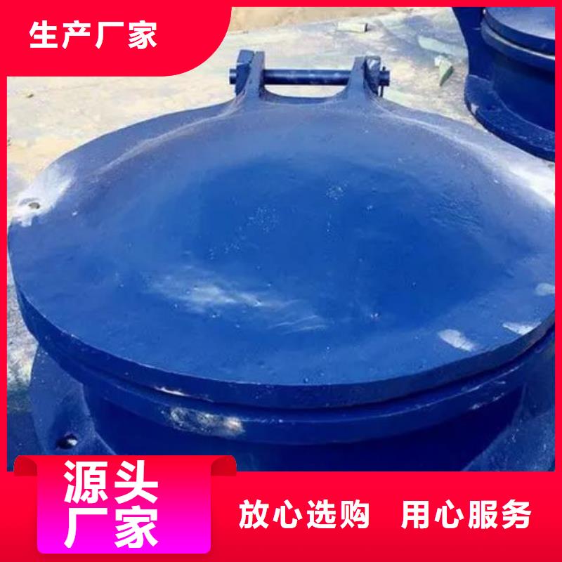 拍门-电动装置启闭机厂家直发