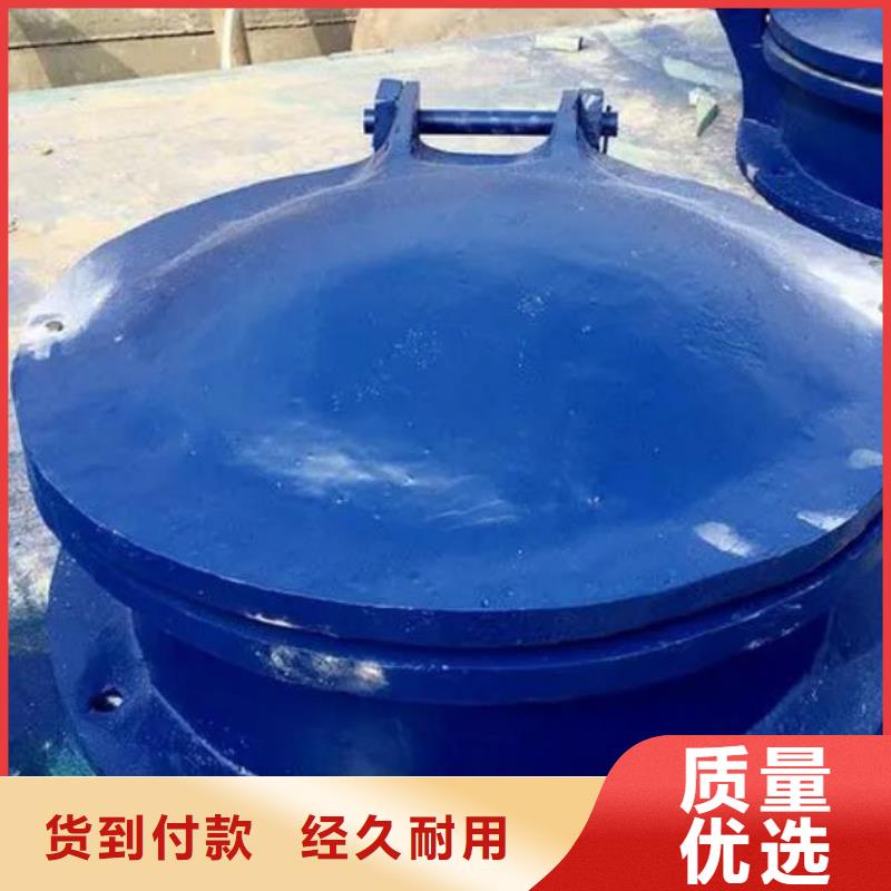 拍门_拦污栅实体诚信厂家