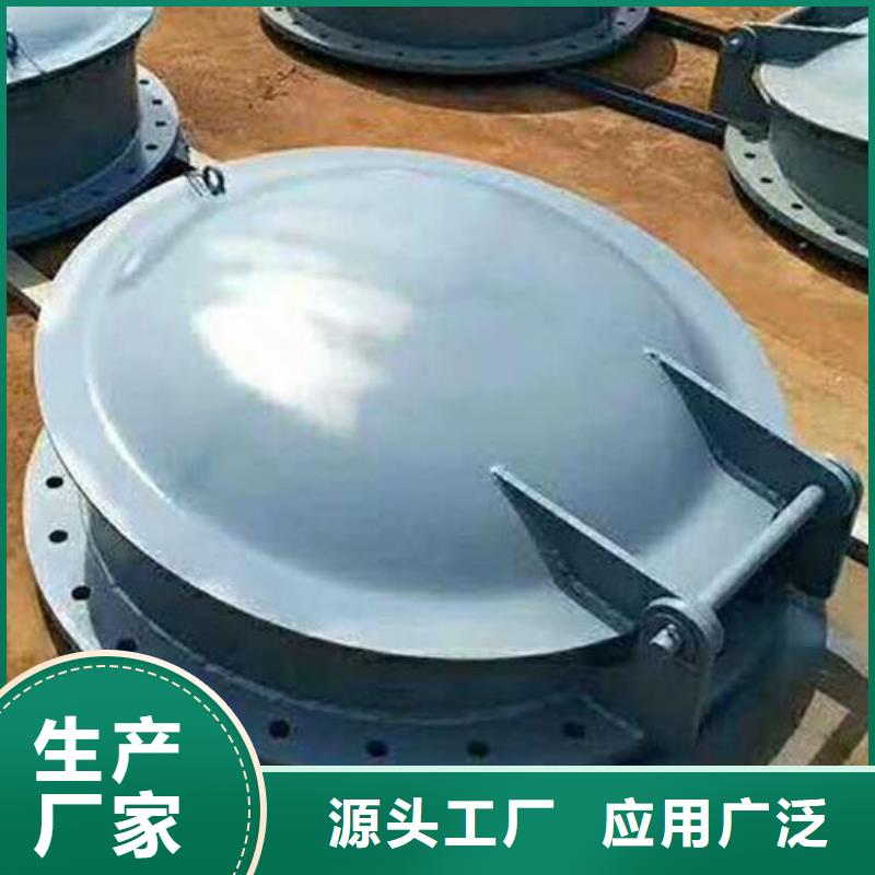 拍门_卷扬启闭机实体厂家支持定制
