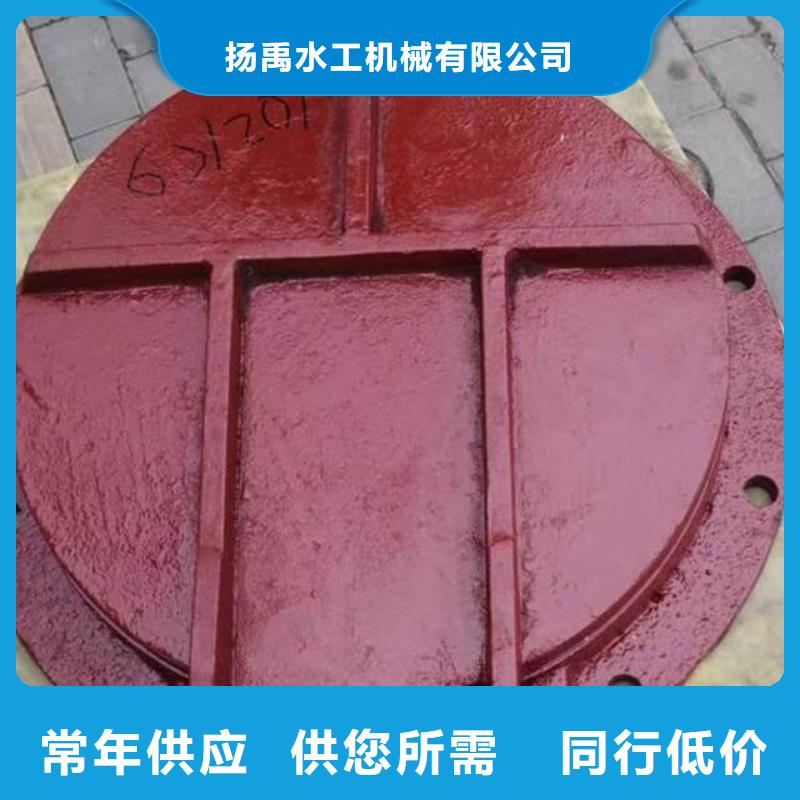 拍门,闸门实力派厂家