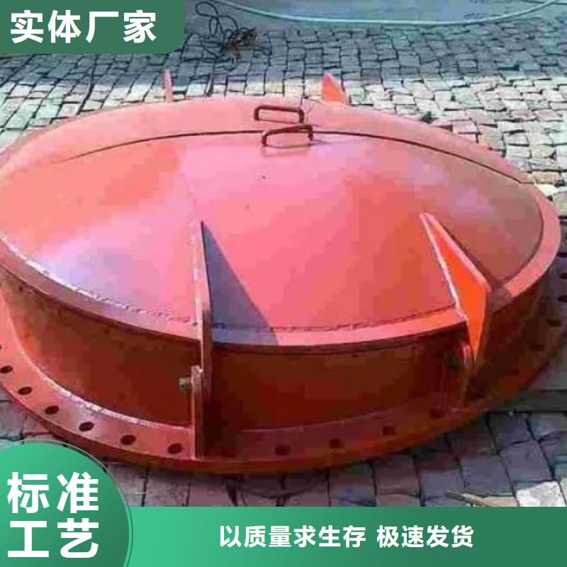 拍门拦污栅高品质诚信厂家