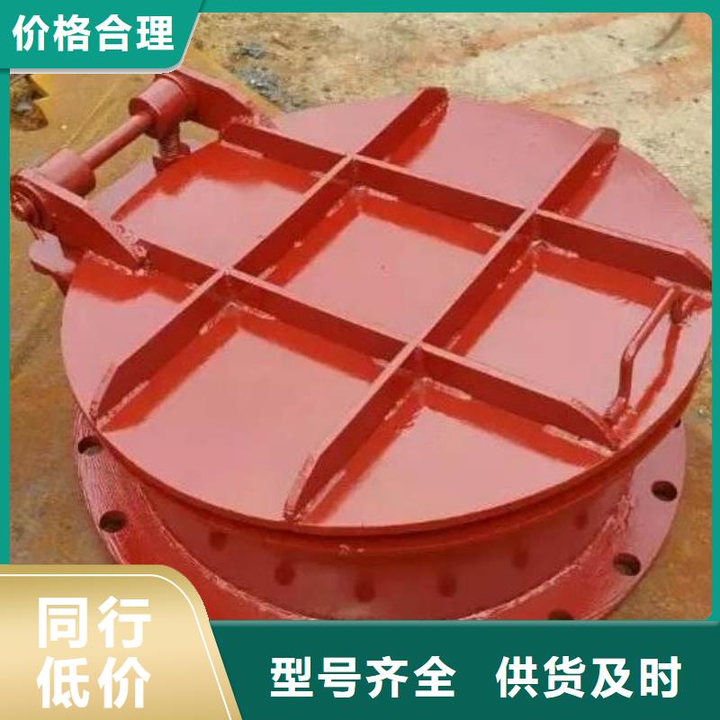 拍门球墨铸铁闸门您想要的我们都有