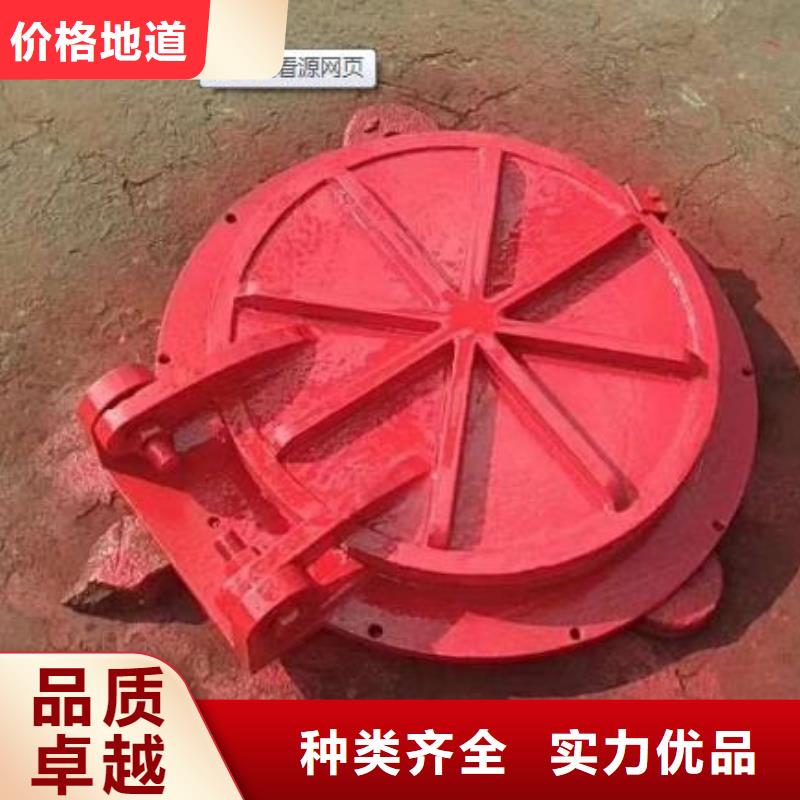 拍门,闸门实力派厂家