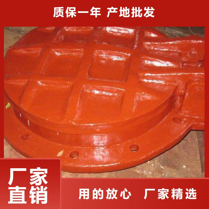 拍门 铸铁闸门精选优质材料