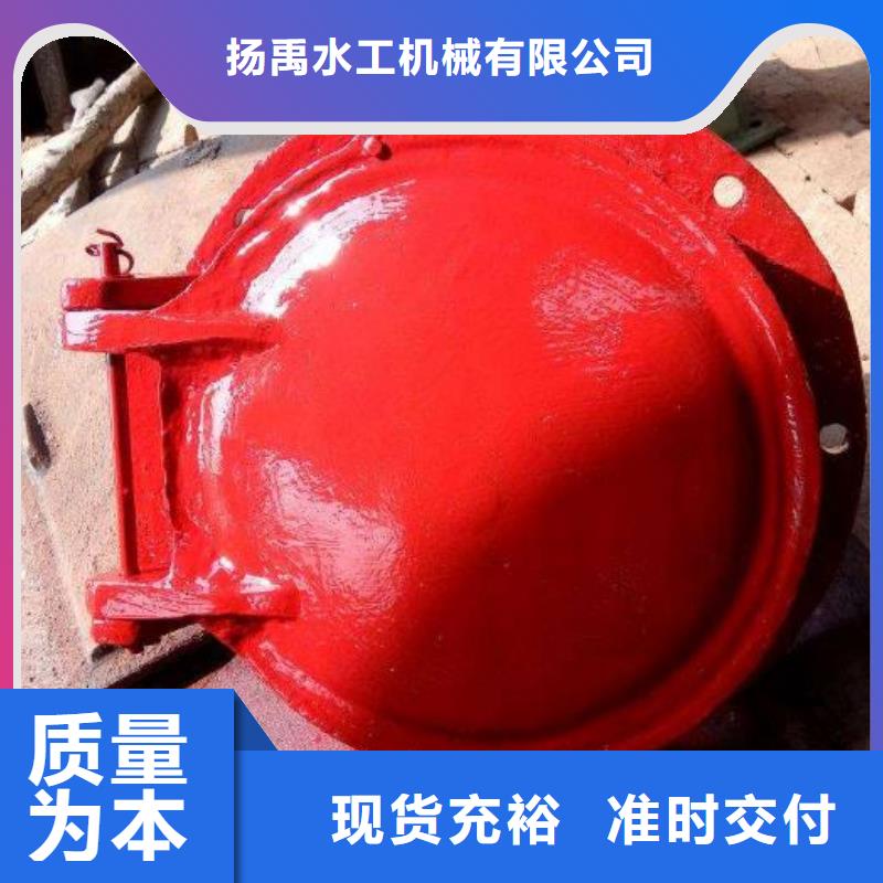 【拍门】钢制拍门专业生产N年
