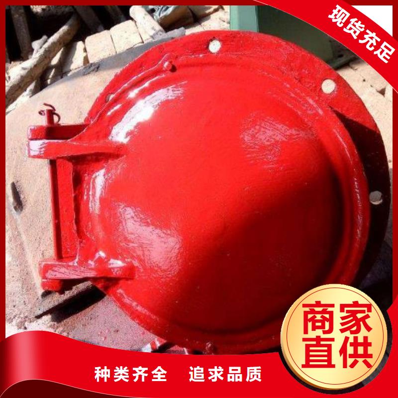 拍门厂家精选
