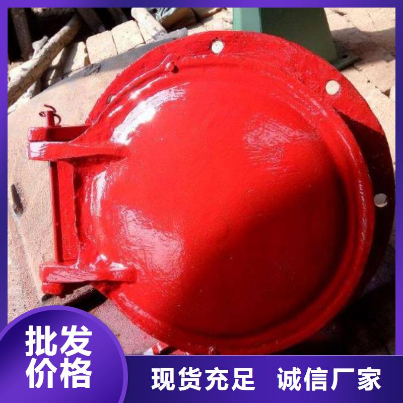 拍门钢制闸门经验丰富品质可靠