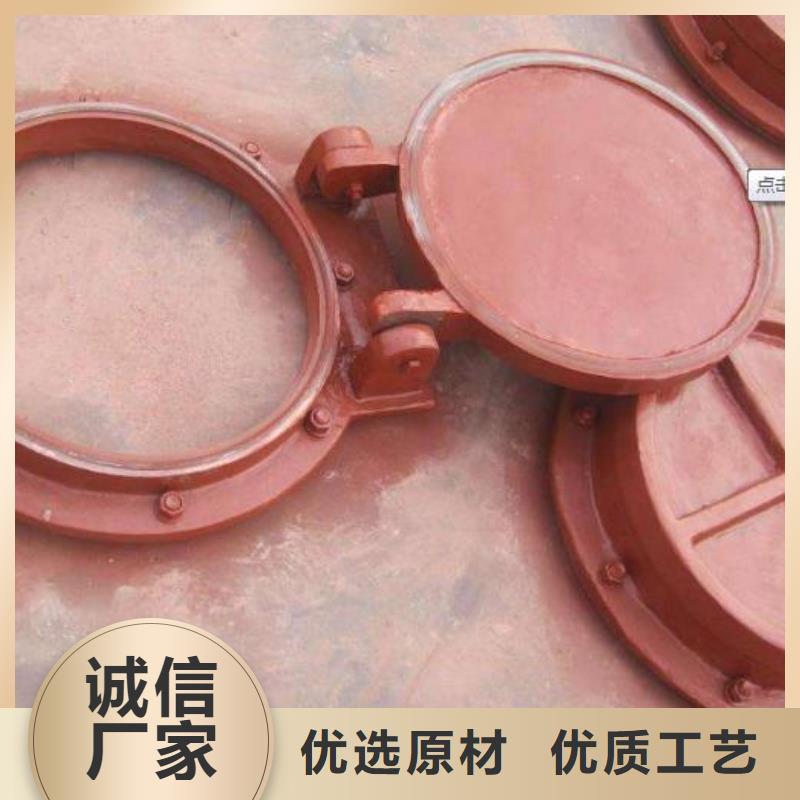 【拍门】钢制拍门专业生产N年