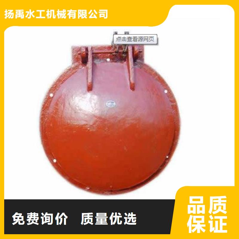 【拍门_铸铁闸门多年实力厂家】