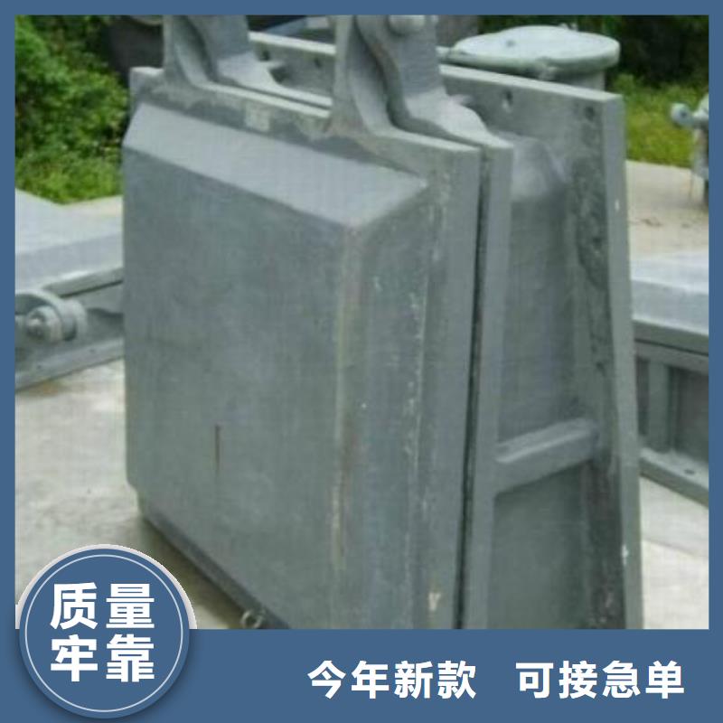 拍门钢制拍门厂家注重细节