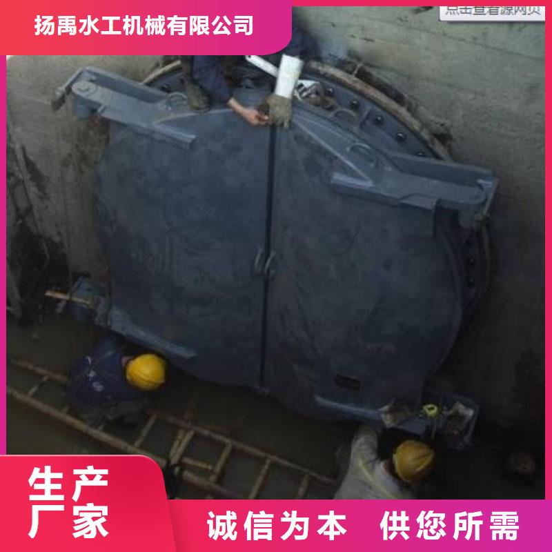 【拍门】钢制拍门专业生产N年