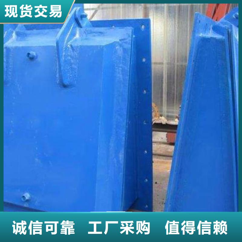 【拍门_铸铁闸门多年实力厂家】
