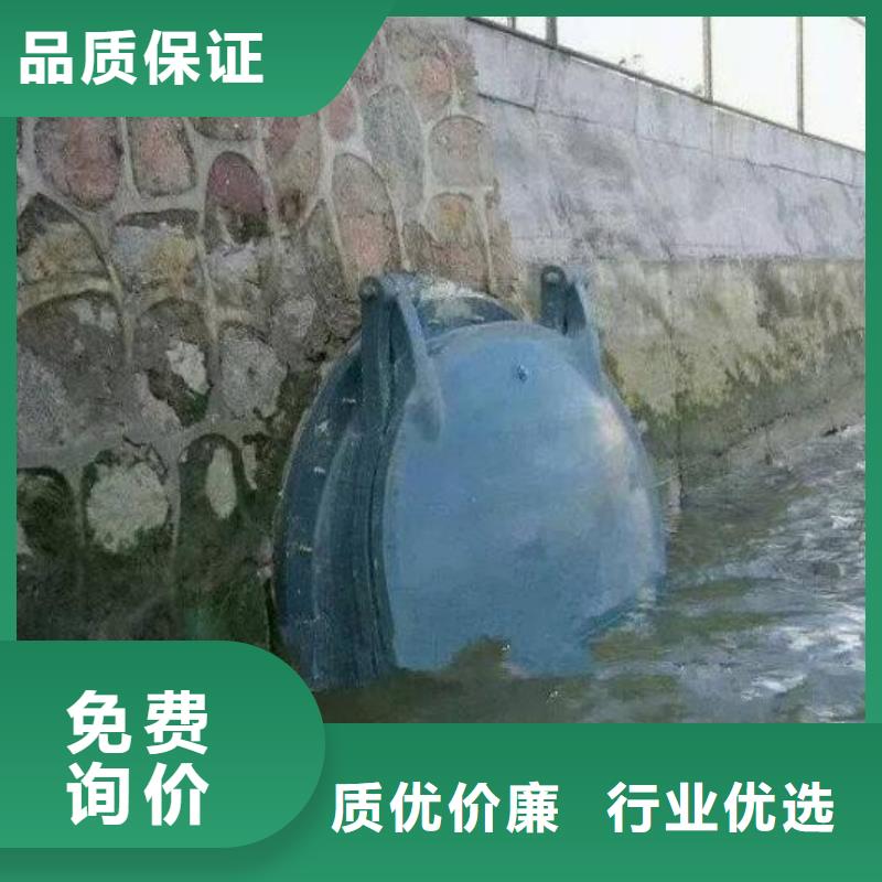 【拍门】钢制拍门厂家适用范围广