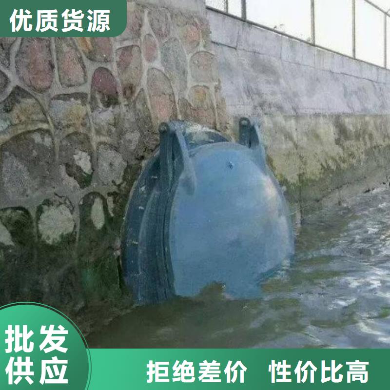 【拍门球墨铸铁闸门批发价格】