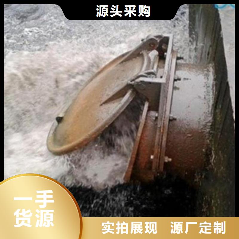 拍门放心得选择