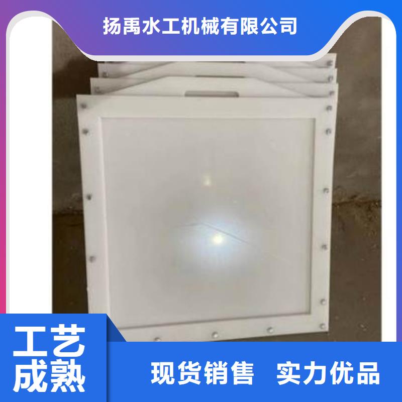 塑料闸门抓斗清污机质量看得见
