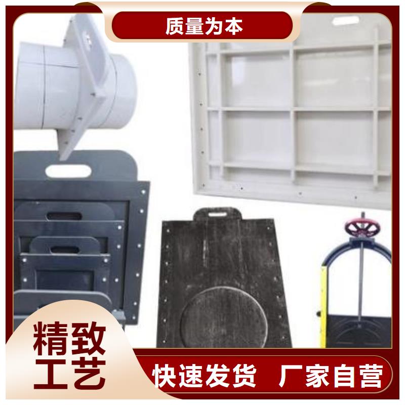 塑料闸门现货直发