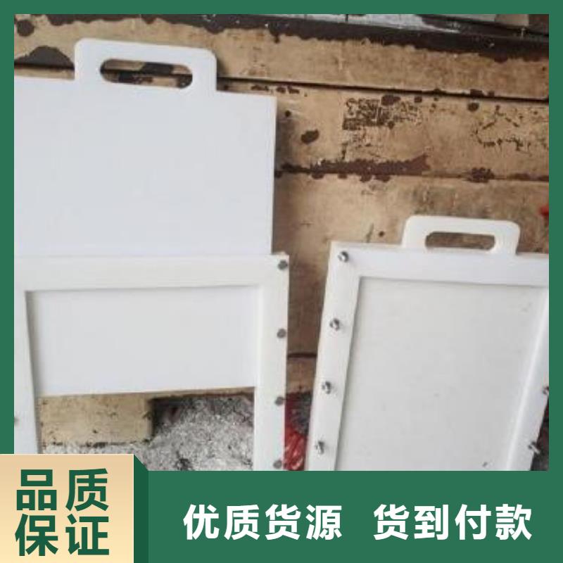 塑料闸门抓斗清污机根据要求定制