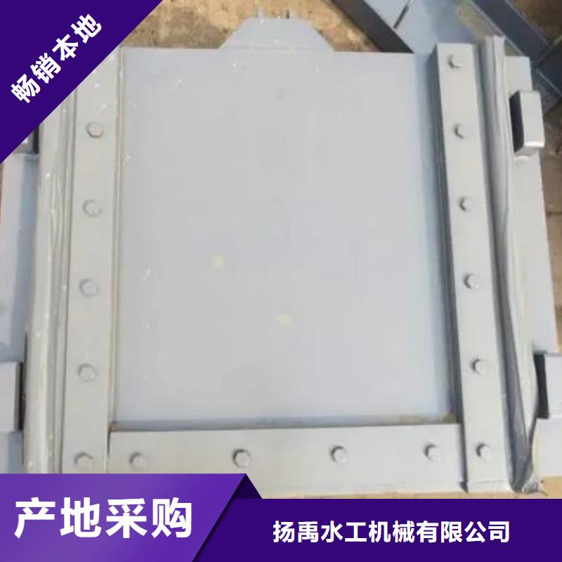 塑料闸门根据要求定制